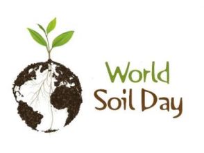 Про Всесвітній день ґрунтів