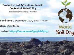 Продуктивність земель сільськогосподарського призначення у контексті політики держави